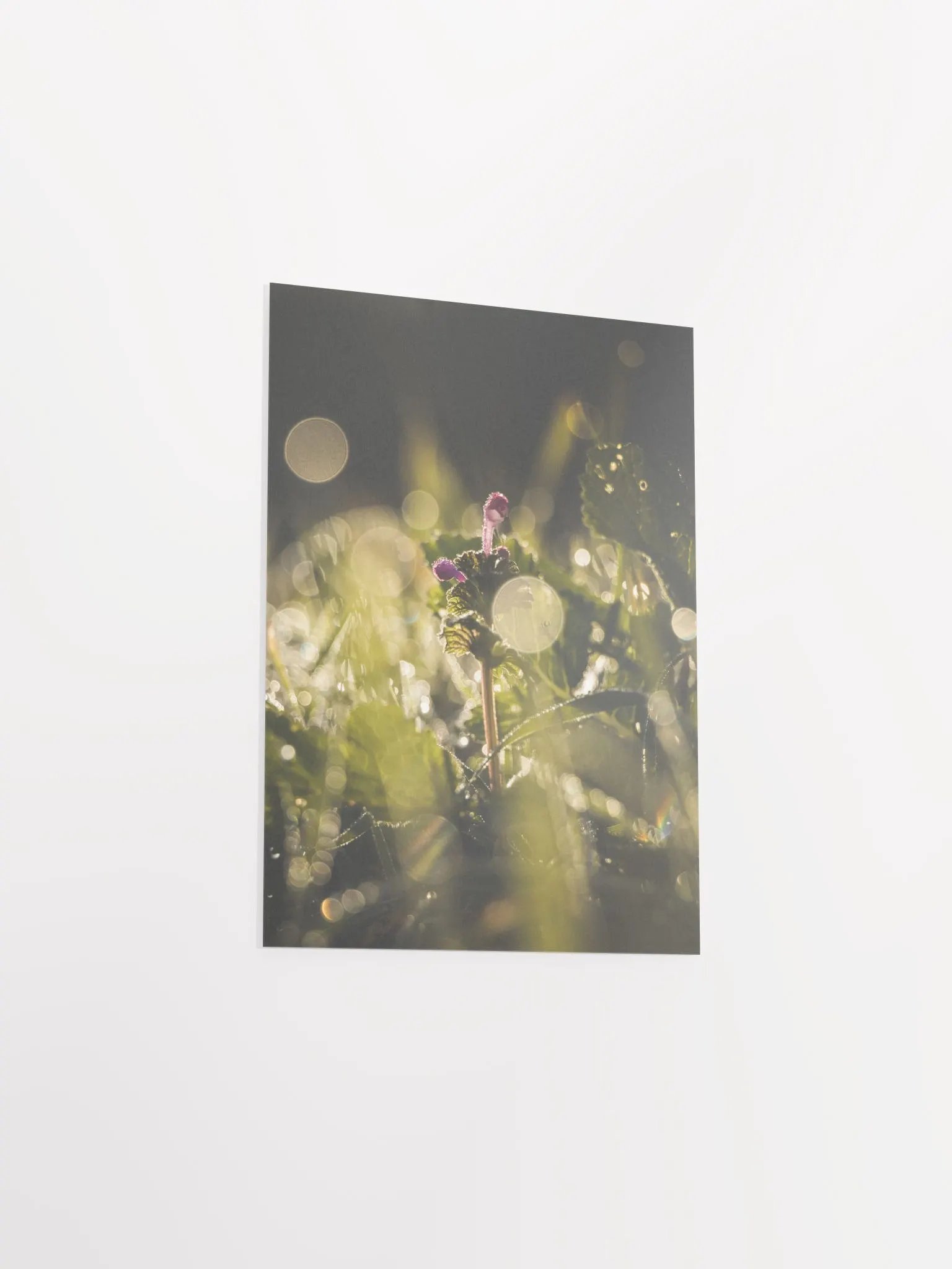 Green Heaven product image (11)