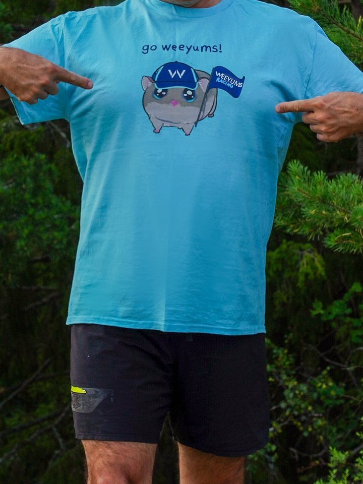 go weeyums shirt product image (2)