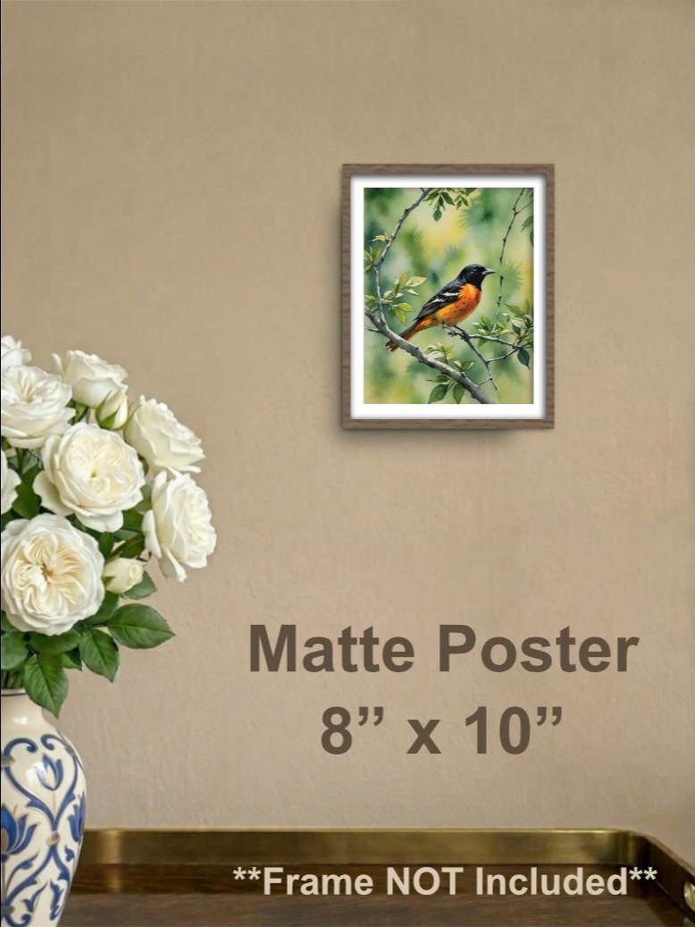 Baltimore Oriole Matte Poster product image (1)