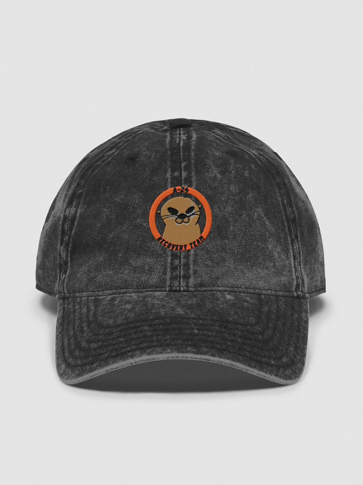 Vintage A-24 Recovery Team DAD HAT product image (1)
