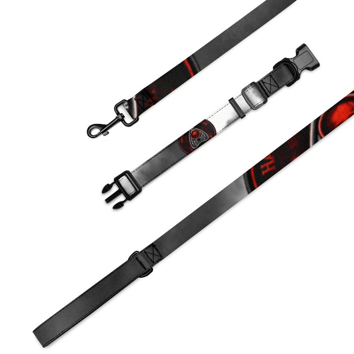Symmetry Stripes Pet Collar & Leash Set product image (1)