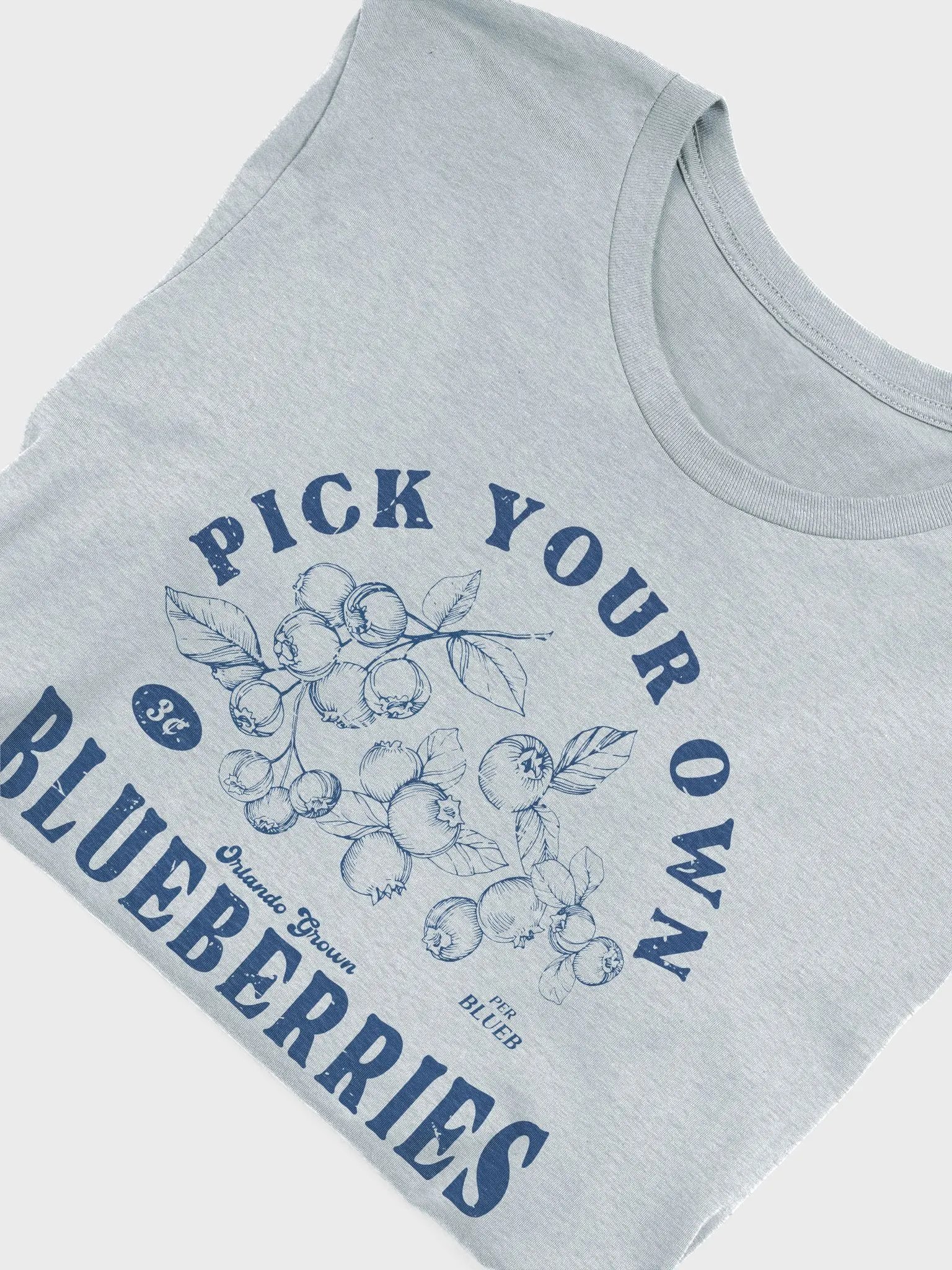 PYOB (Blue) Tee product image (4)