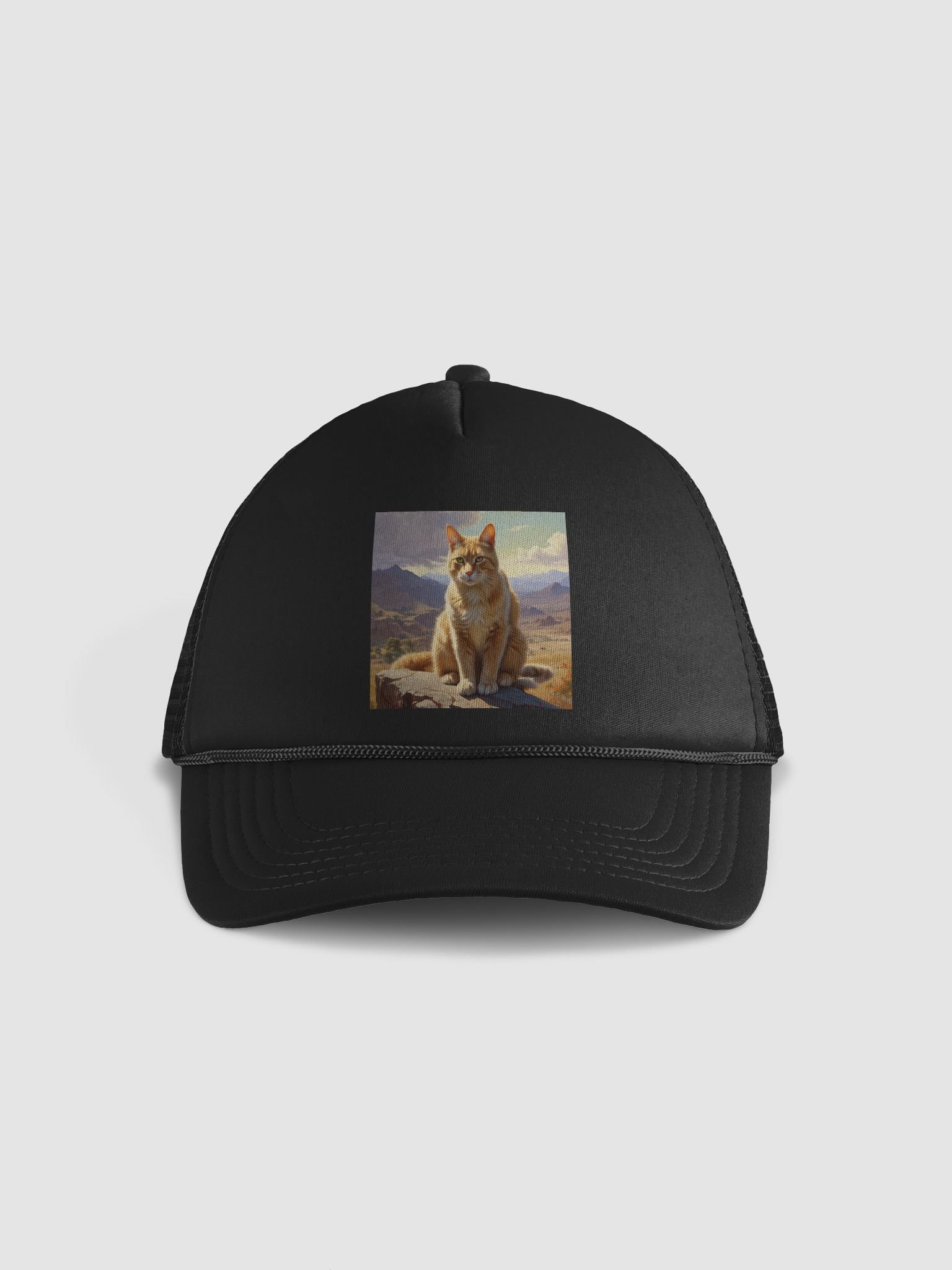 Cat product image (1)