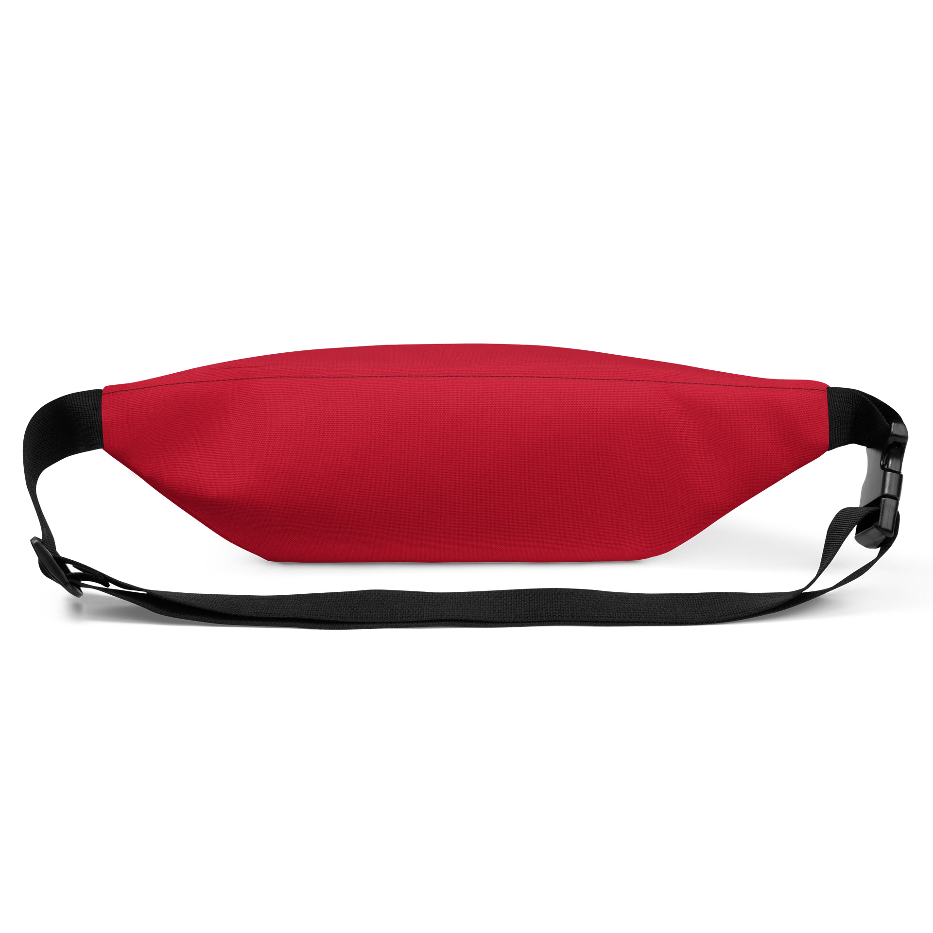 Fanny Pack product image (3)