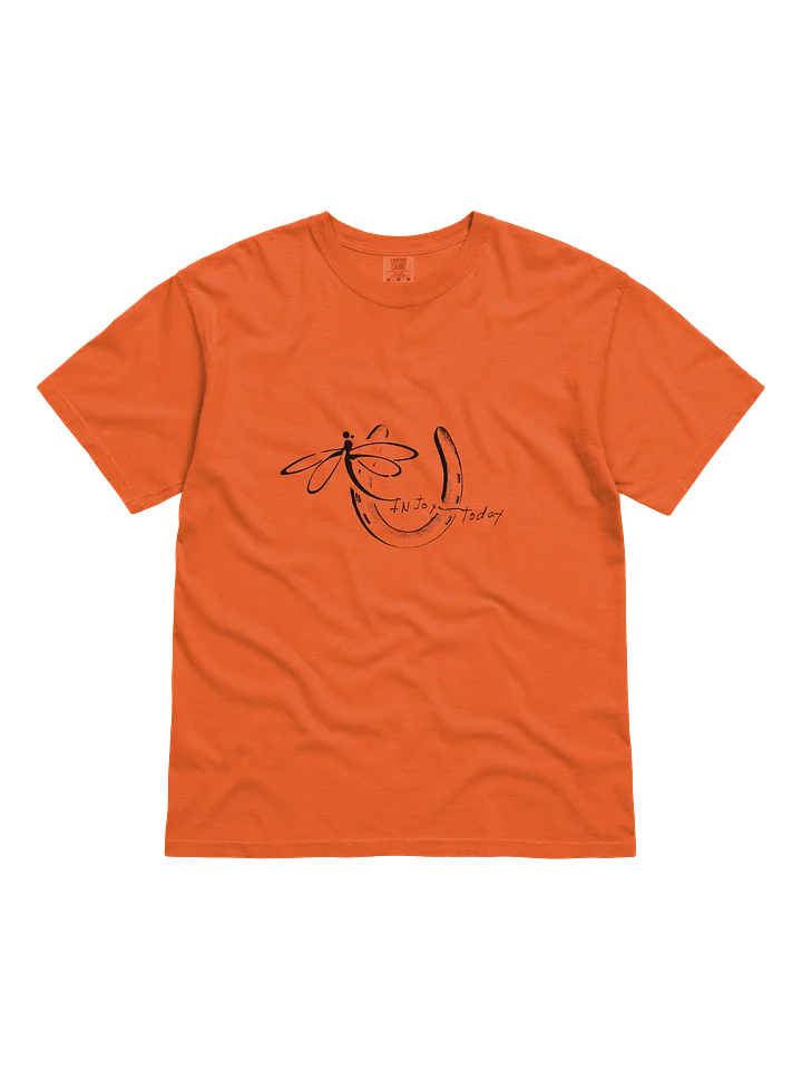 InJoy Today Daily Joy T‑Shirt| Premium Heavyweight Cotton T‑Shirt (Relaxed Unisex Fit) product image (1)
