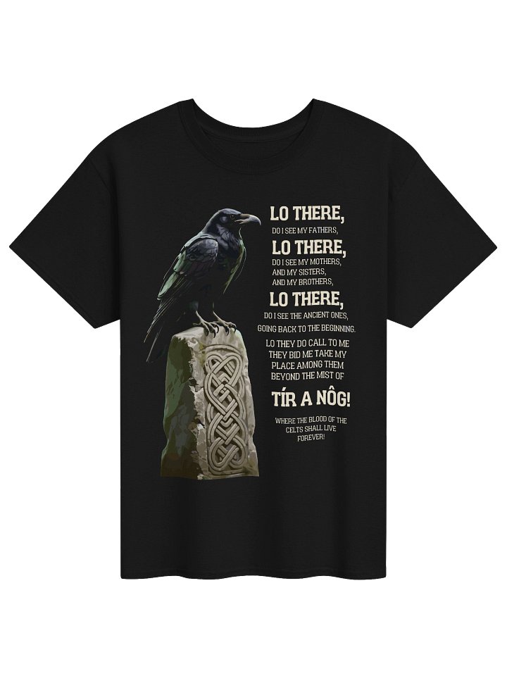 Tír A Nóg Celtic Raven Graphic Tee product image (1)