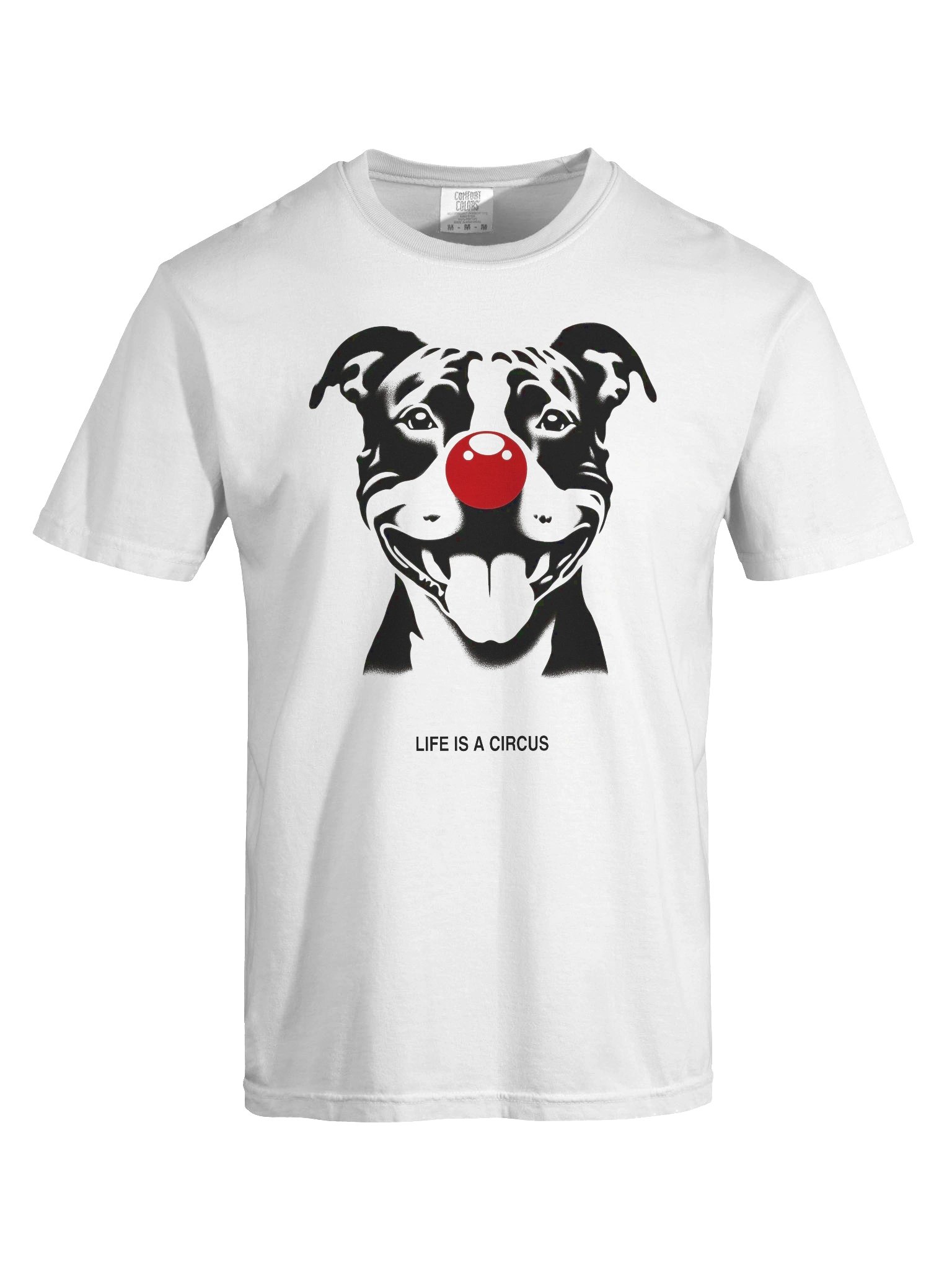 Ruby — Life is a Circus Garment-Dyed Tee product image (5)