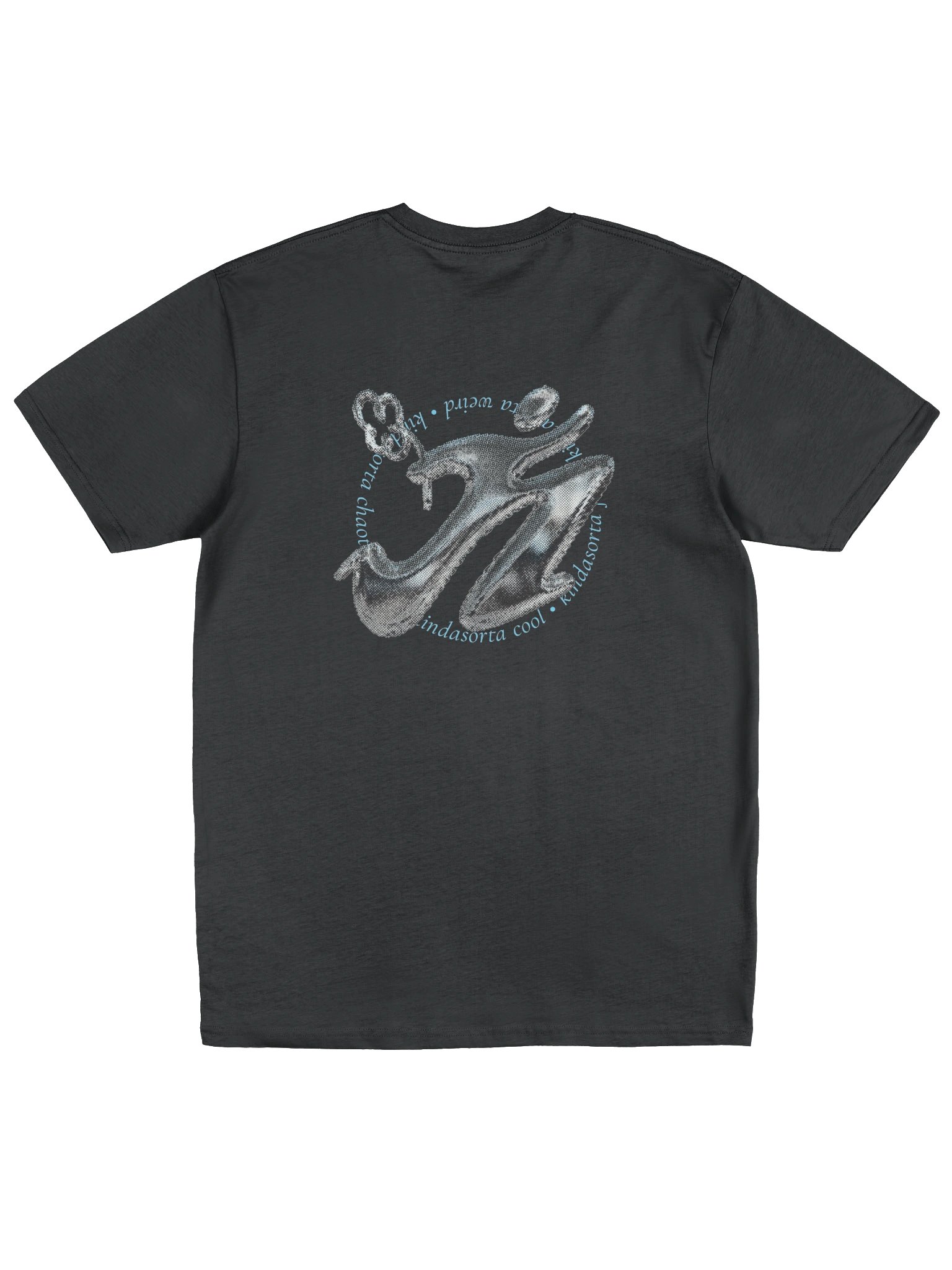 kindasorta heavyweight tee product image (2)