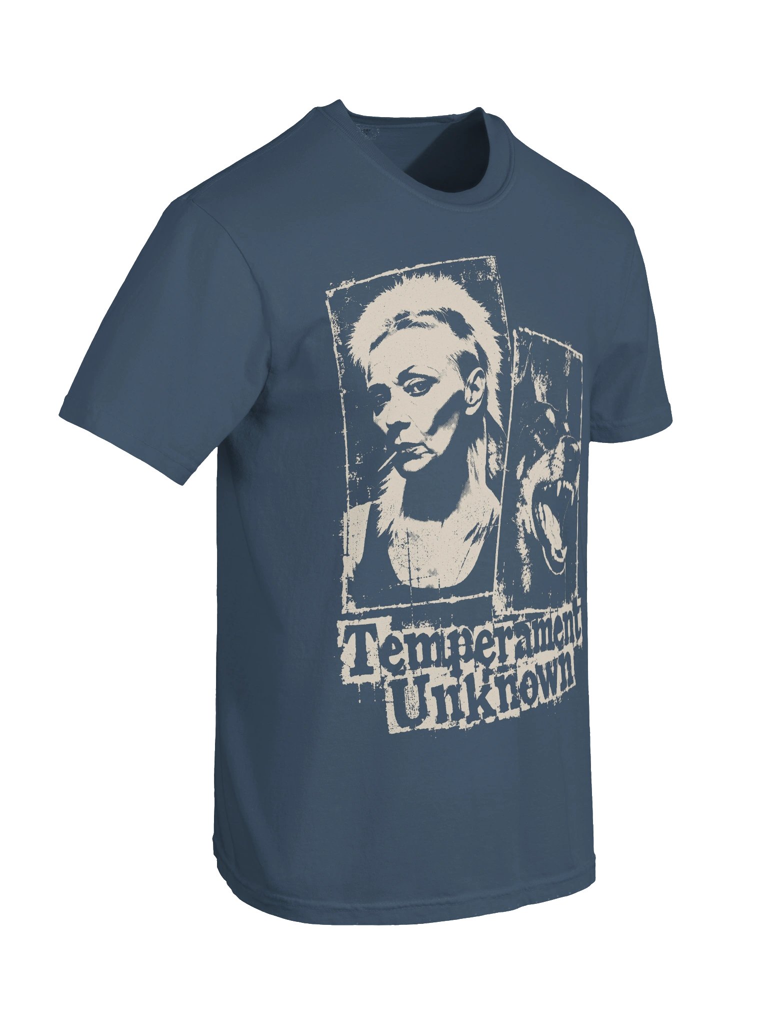 Temperament Unknown Heavyweight Vintage Graphic Tee product image (6)