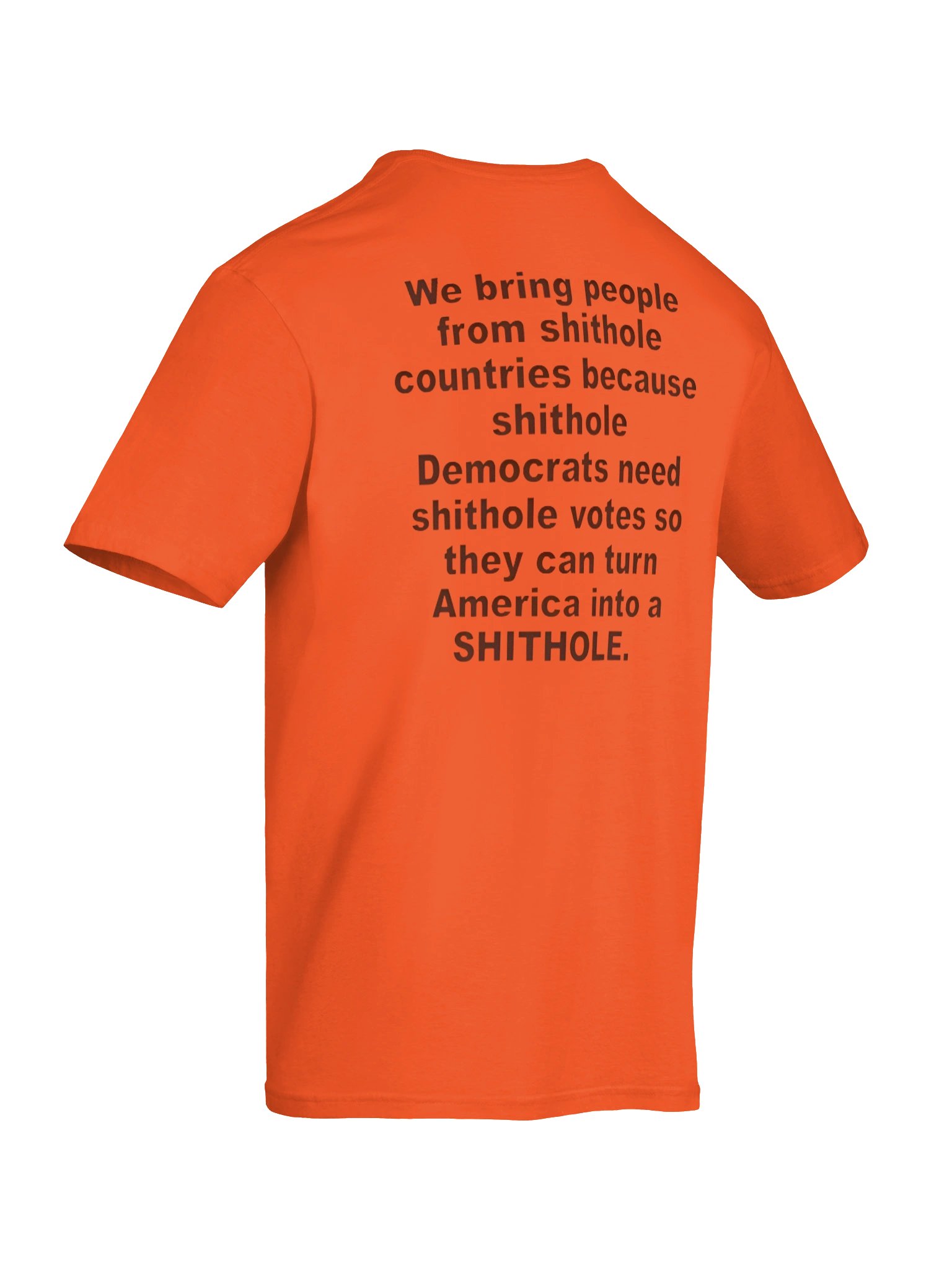We Bring People From Shithole Countries Anti-Democrat Graphic Shirt product image (6)