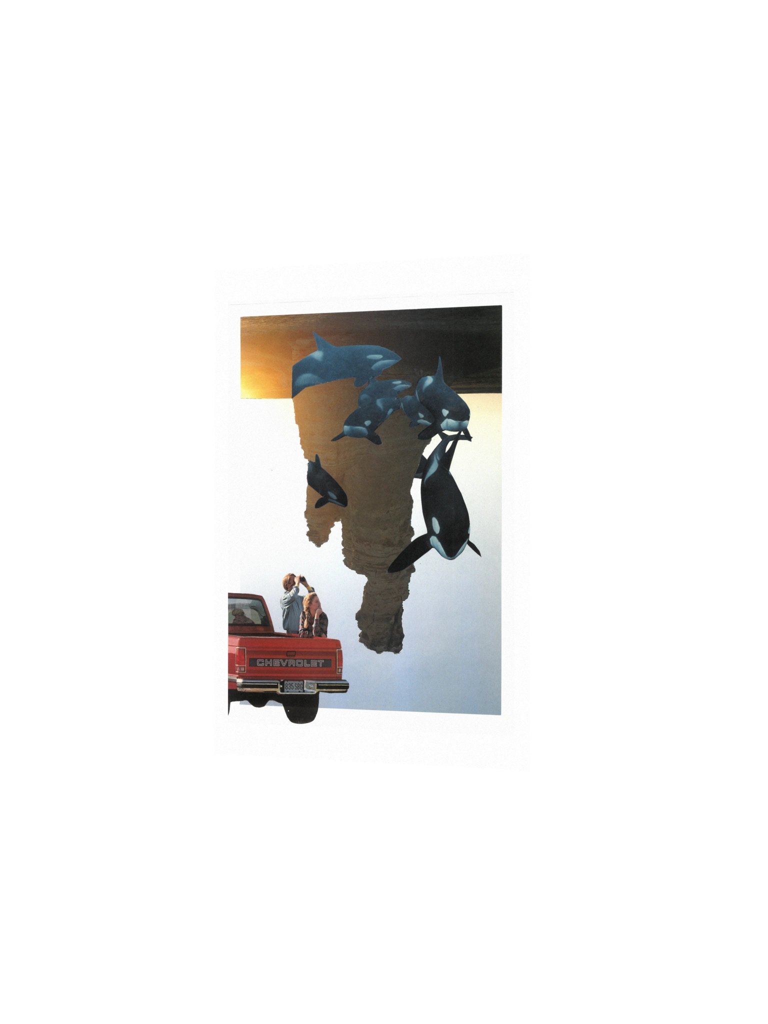 Long time, no sea product image (2)
