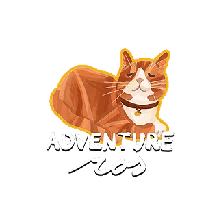 Ros - Adventure Cat