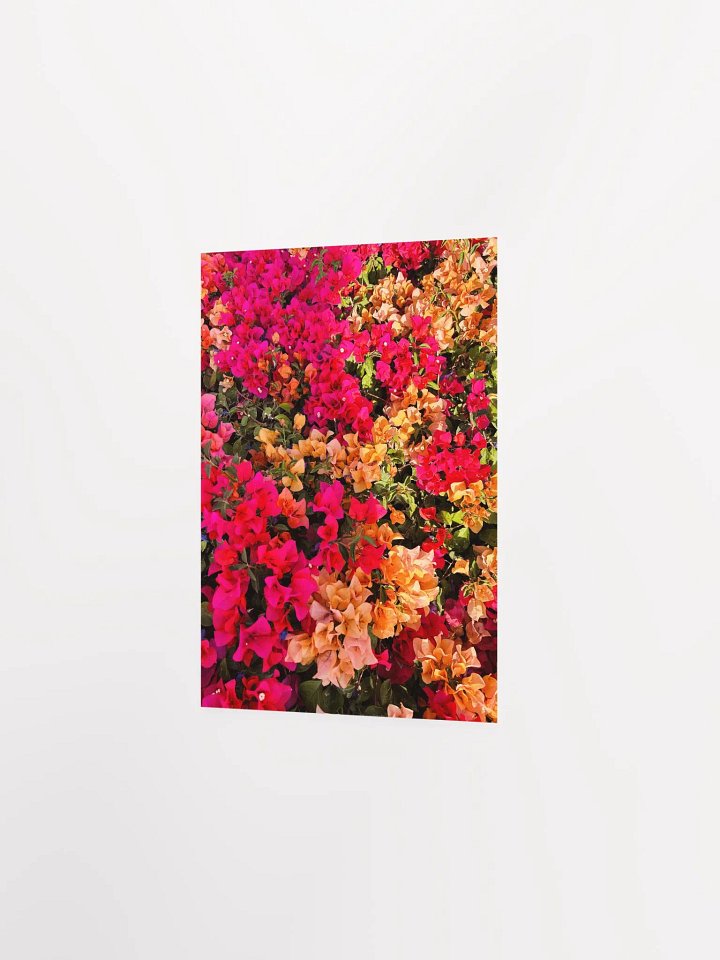 Blossom Burst Poster product image (12)