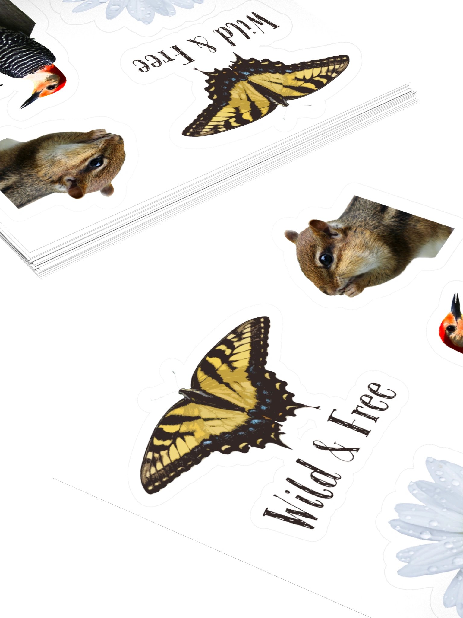 Nature Lover's Summer Stickers product image (4)