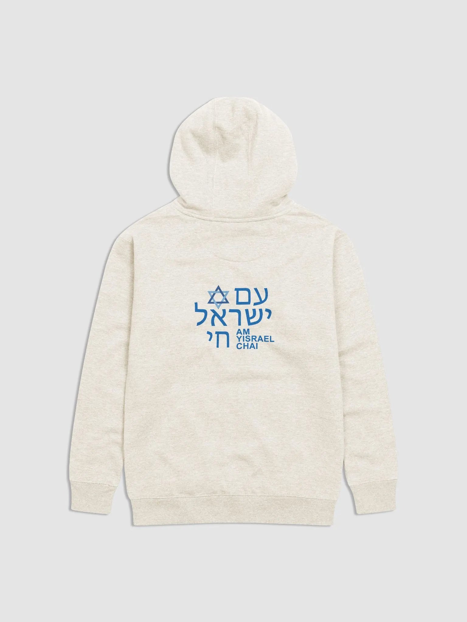 AM YISRAEL CHAI Premium Hoodie product image (17)