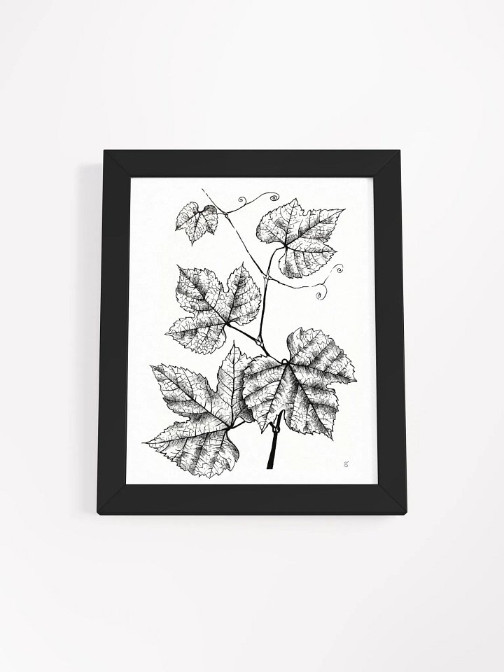 Intricate Vine Line Art Poster - Grape Leaves product image (3)
