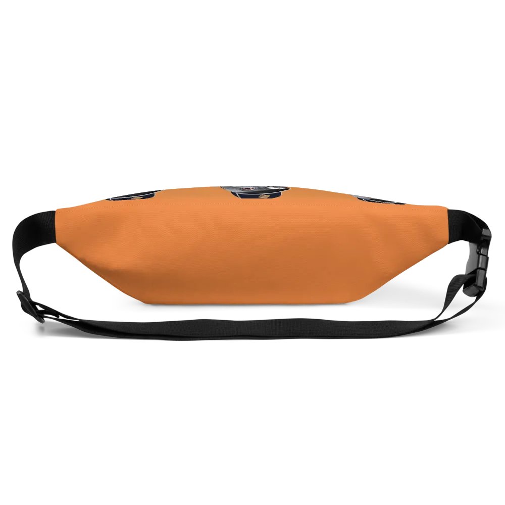 BIGGY Fanny Pack product image (3)