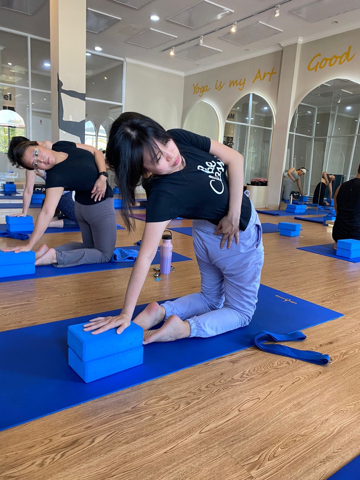 Healing Backbends: Therapeutic Yoga for Back Pain Relief Class 50 Min |Part -2 | Level -★ product image (3)