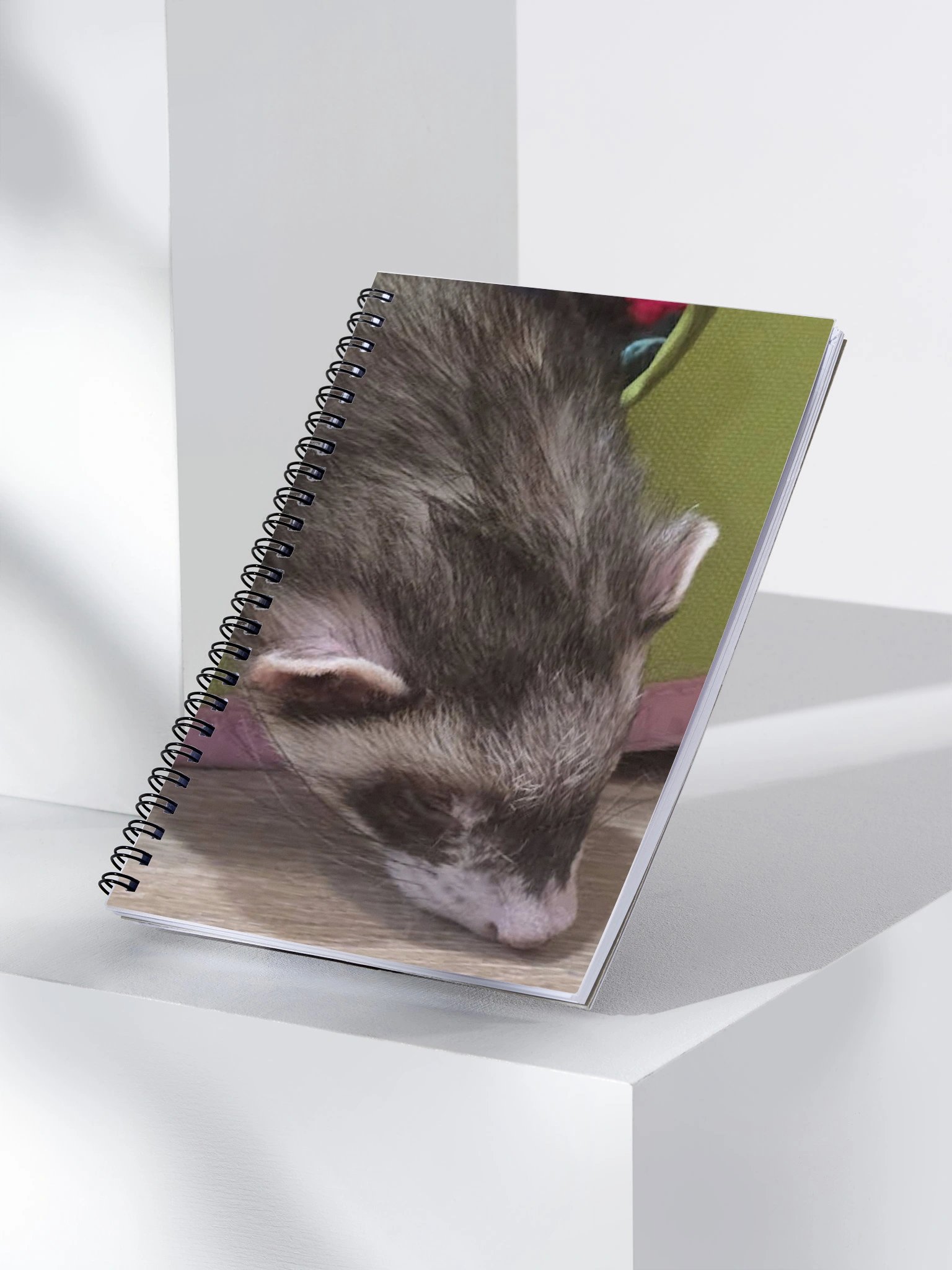 Ruby Noebook product image (3)