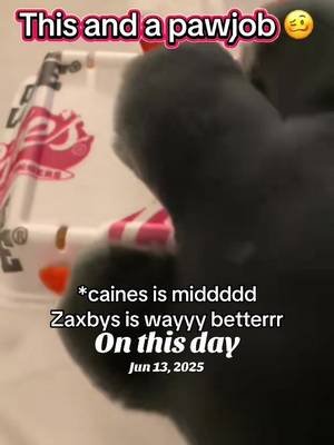 Repost of the vid XD. Caines is MID. Zaxbys is soooo much better #onthisday #fursuit #fursuits #fursuitersoftiktok #fursuitmaker 
