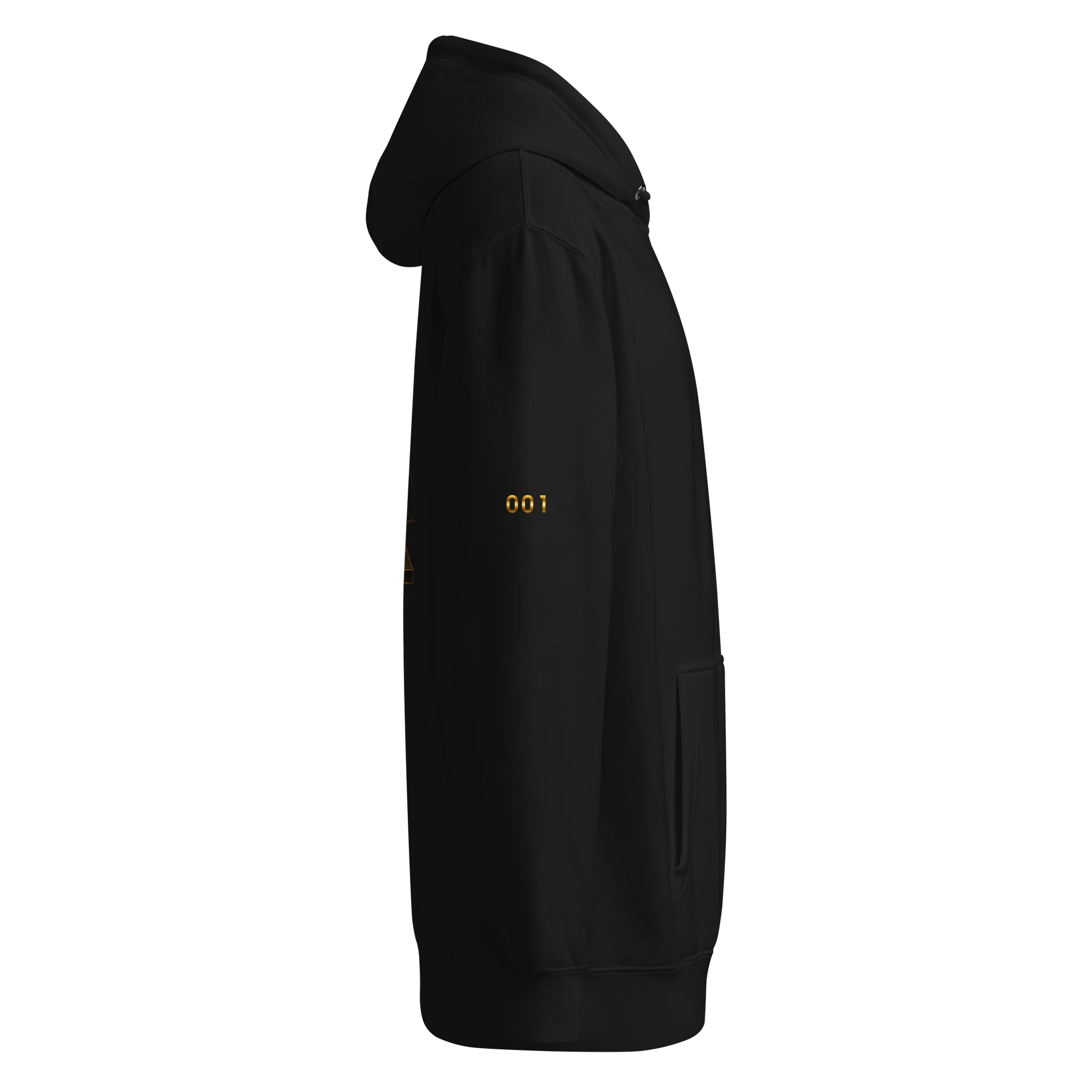 Ascend Premium Hoodie product image (4)