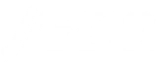 ÆSIR Store