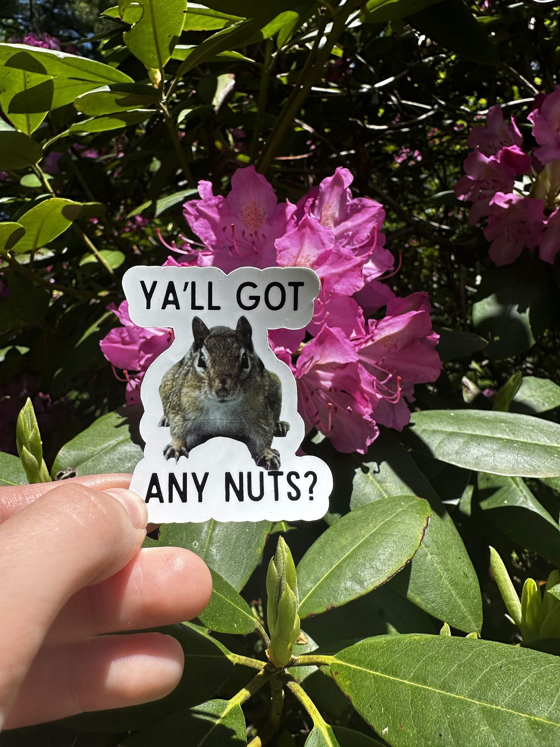 Got Nuts? Sticker product image (2)