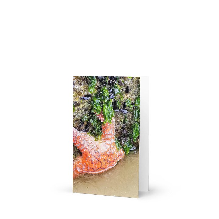 Starfish Serenity Greeting Card product image (1)