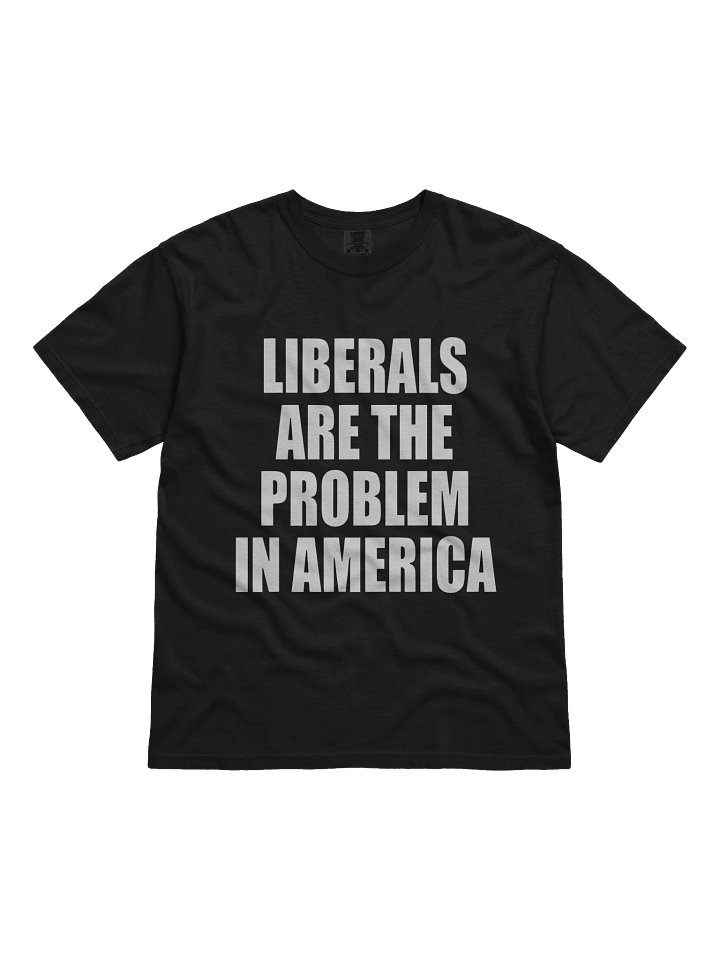 Liberals Are The Problem In America Shirt product image (1)