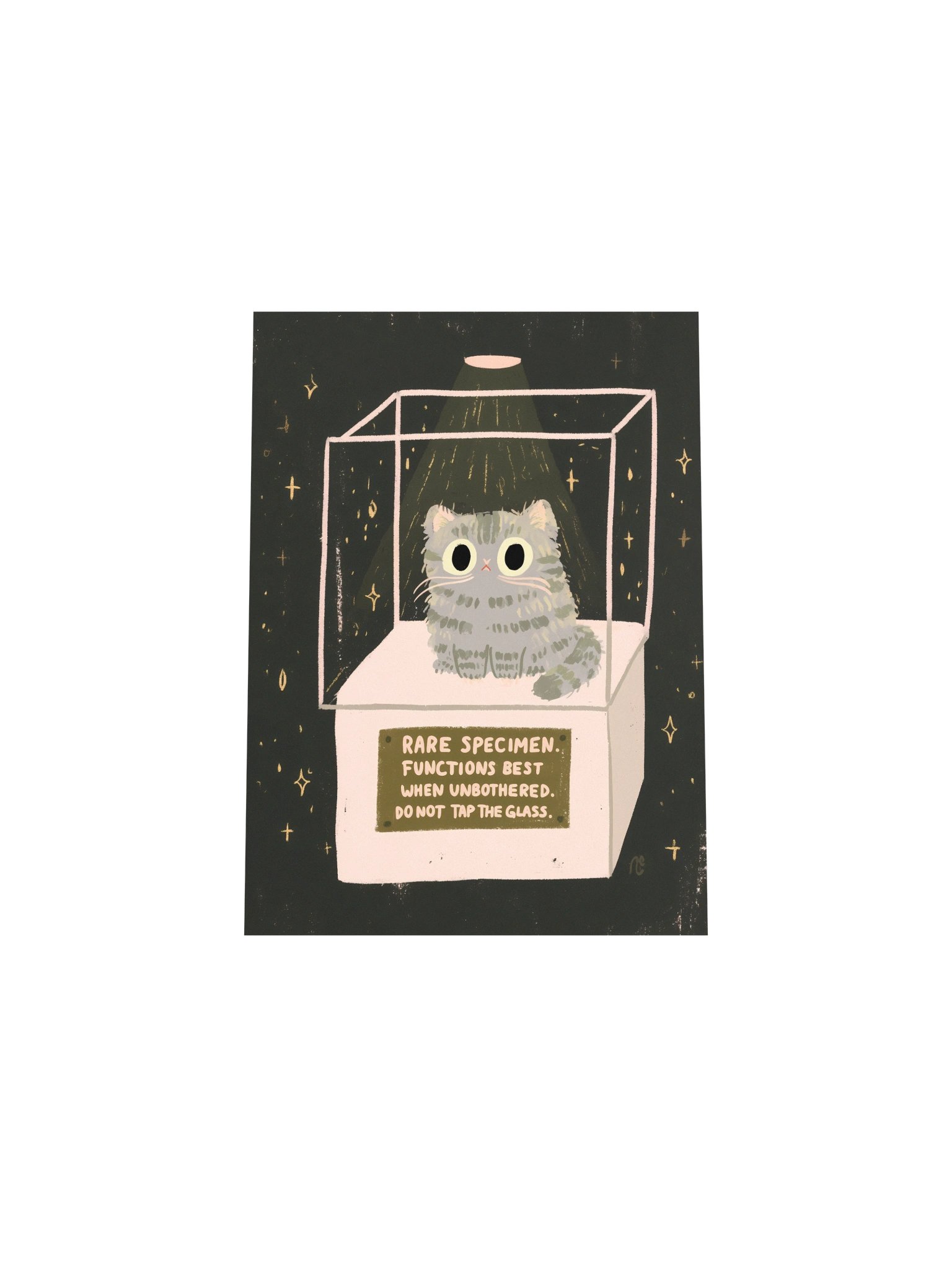 Rare Specimen Cat Poster product image (29)