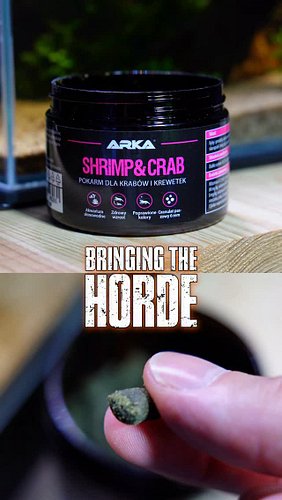 Trying out some new crab food and this one appears to be quite the popular choice for everything in the tank.

#hermitcrab #R...