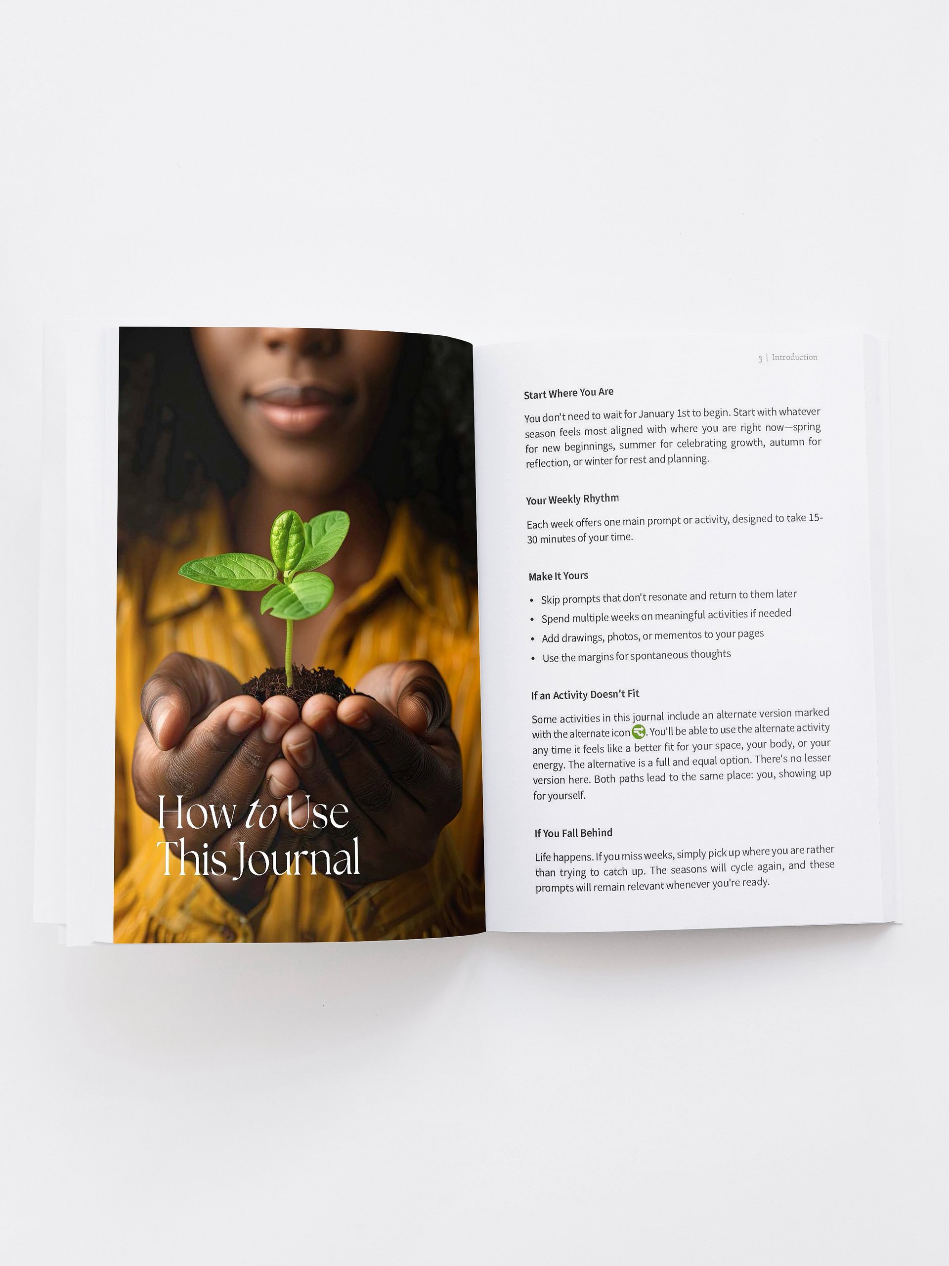 The Seasons Within product image (2)