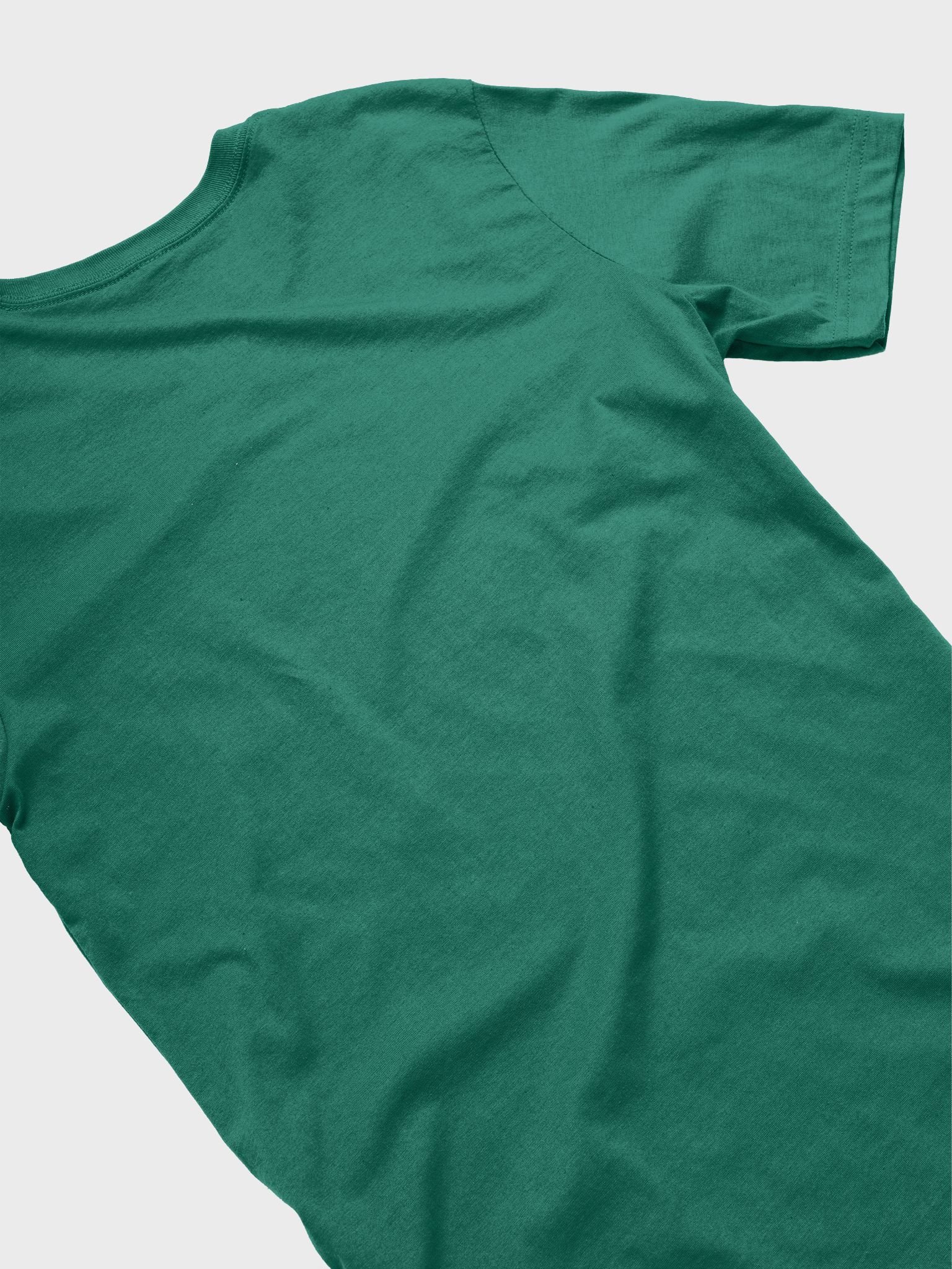 CLASSIC: DTH Logo Tee product image (4)