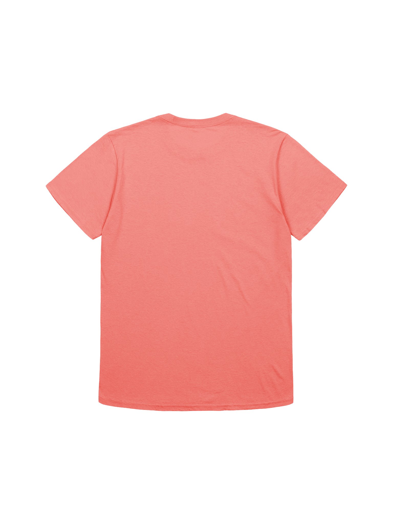 Frog and Toad Ice Cream T-Shirt product image (4)