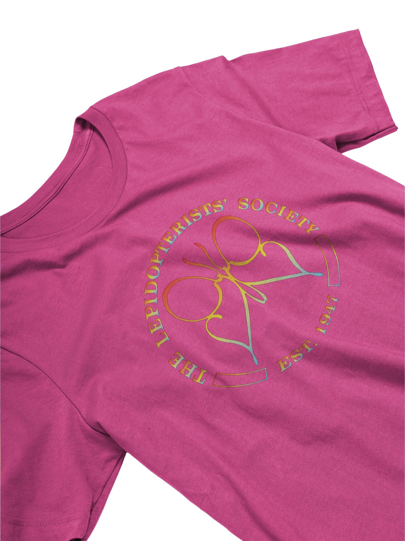 Rainbow Logo T-Shirt product image (3)