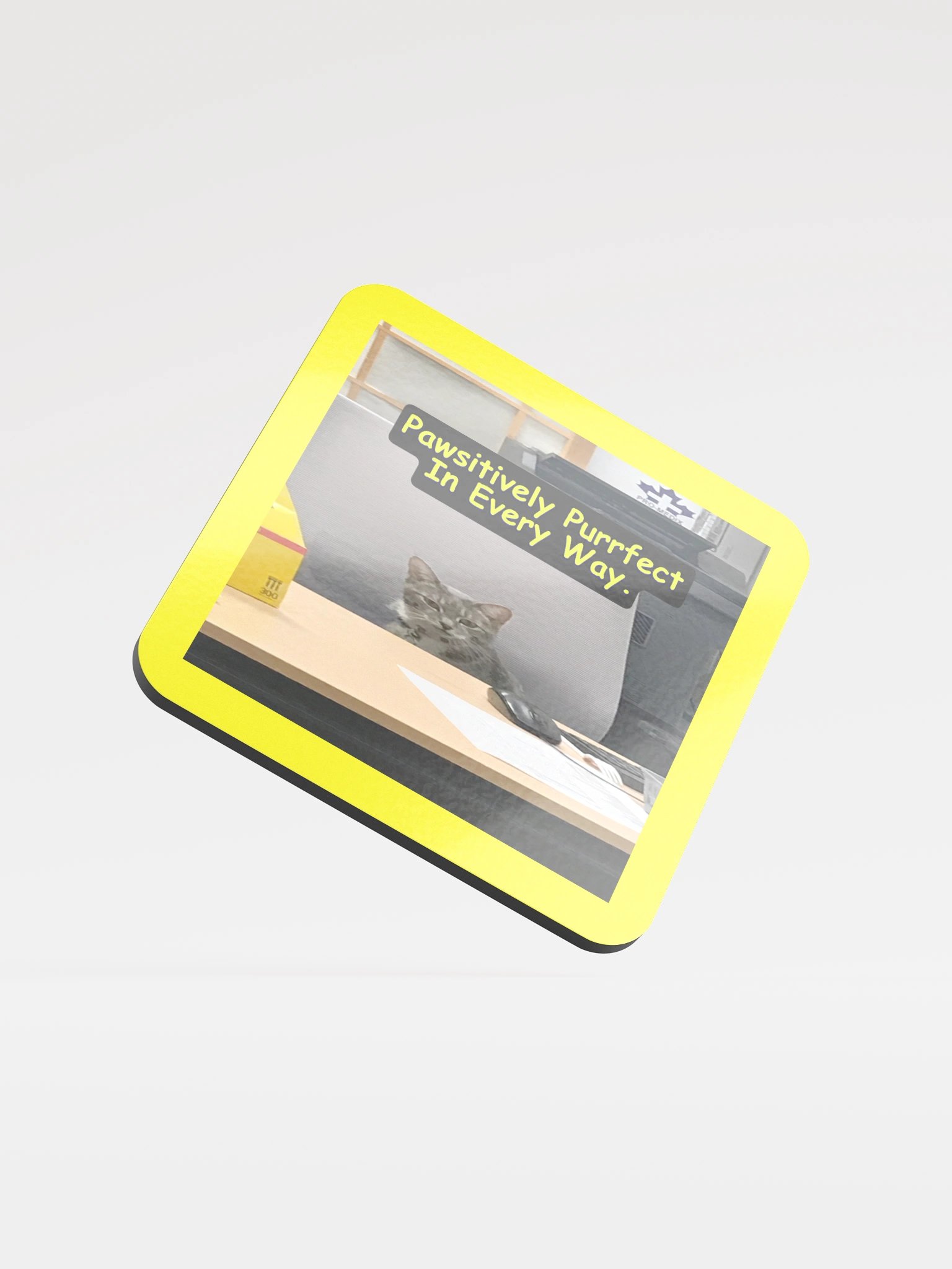 Pawsitively Purrfect Coaster Set product image (1)