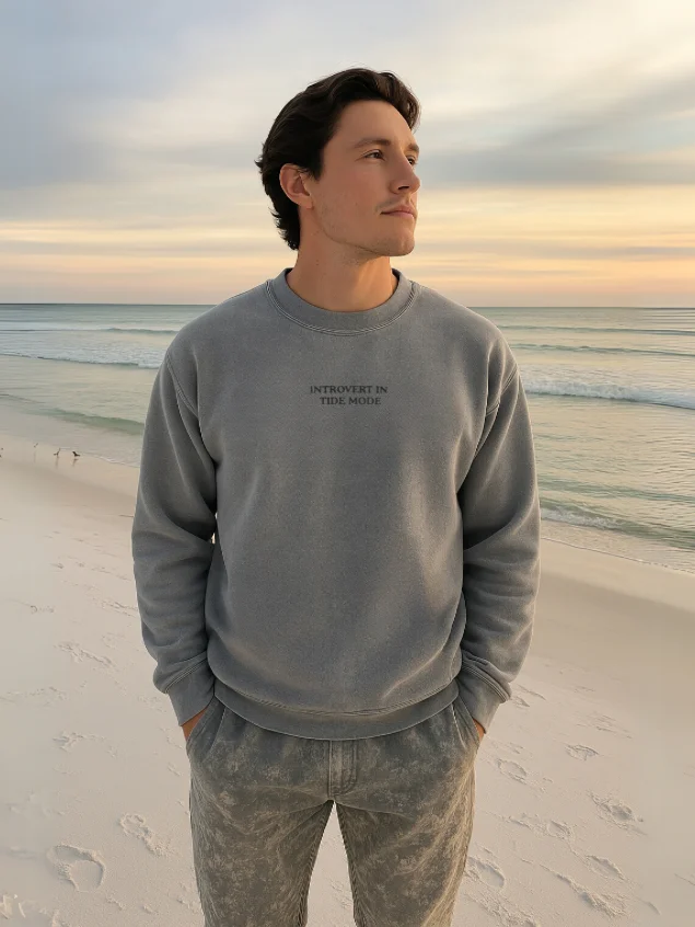 Introvert In Tide Mode Embroidered Sweatshirt product image (1)