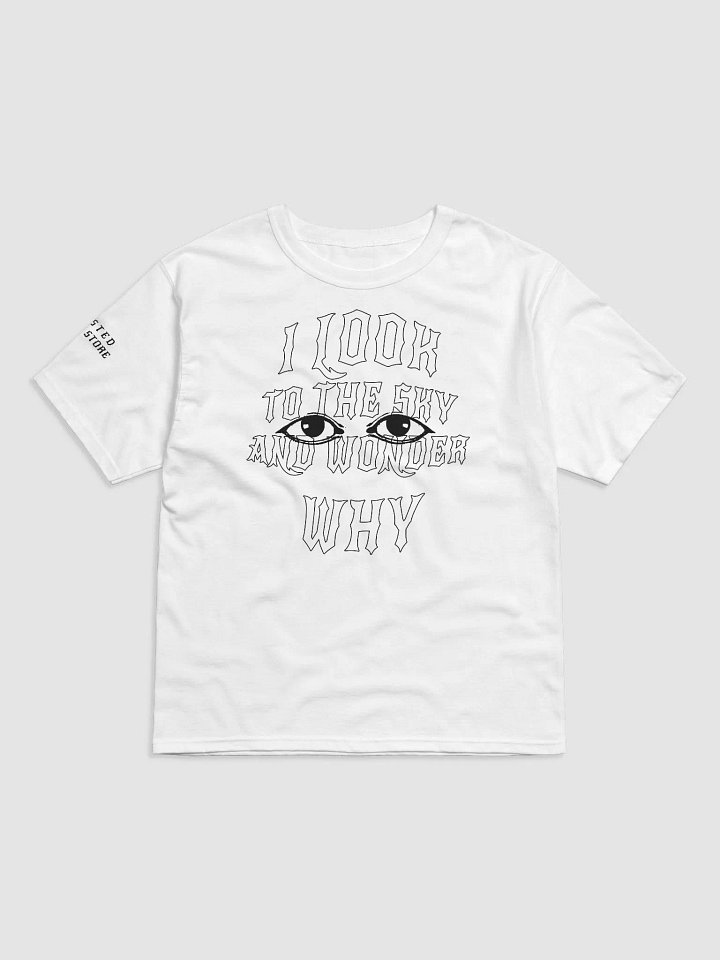 I LOOK TO THE SKY AND WONDER WHY product image (1)