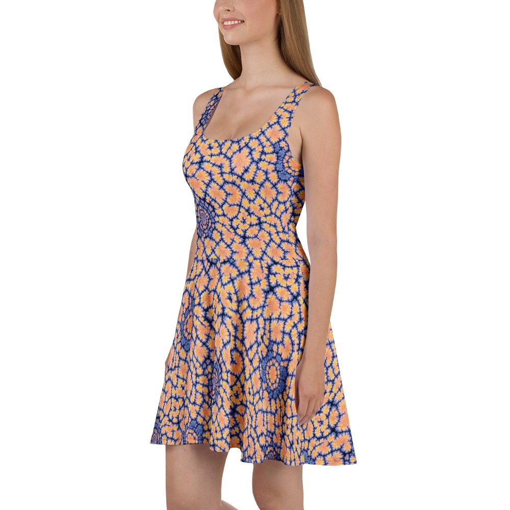 Sunny Days Skater Dress product image (1)