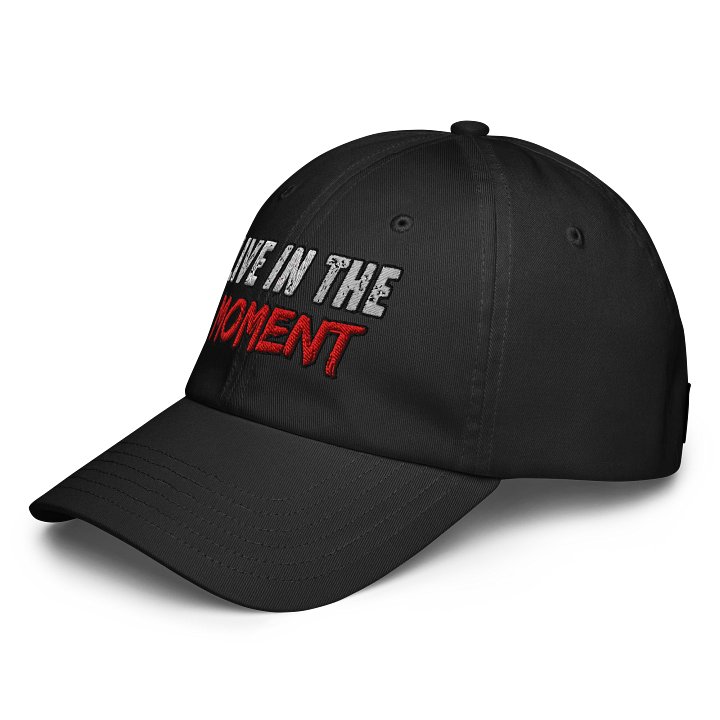 LIVE IN THE MOMENT Distressed Dad Hat product image (5)