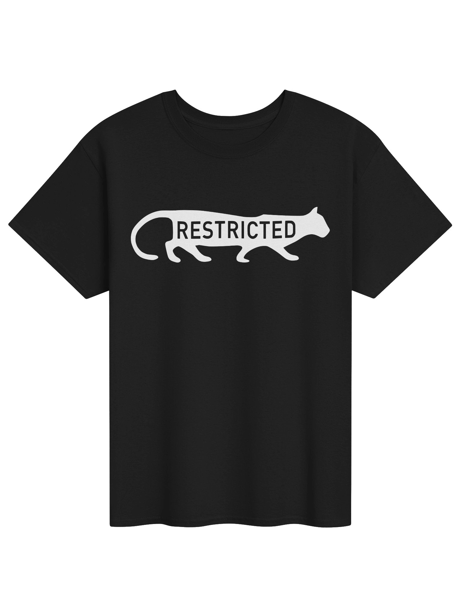 Restricted x "All Systems Go" Graphic T-Shirt | Underground Hip Hop Merch product image (1)