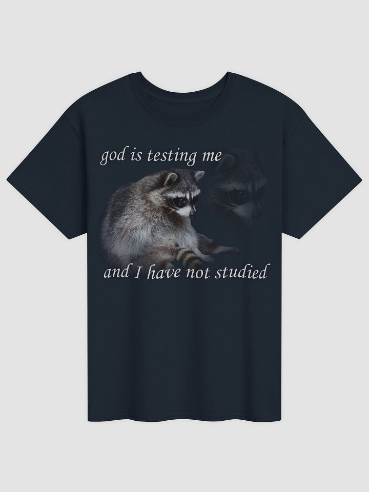 God is Testing Me Raccoon T-shirt product image (1)