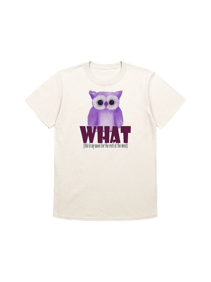 Unisex Gildan Softstyle T-Shirt product image (1)