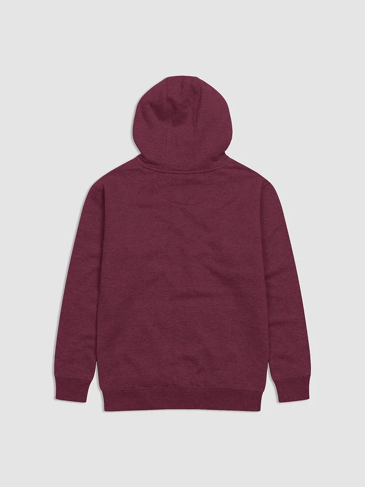 The TDA Hoodie product image (12)