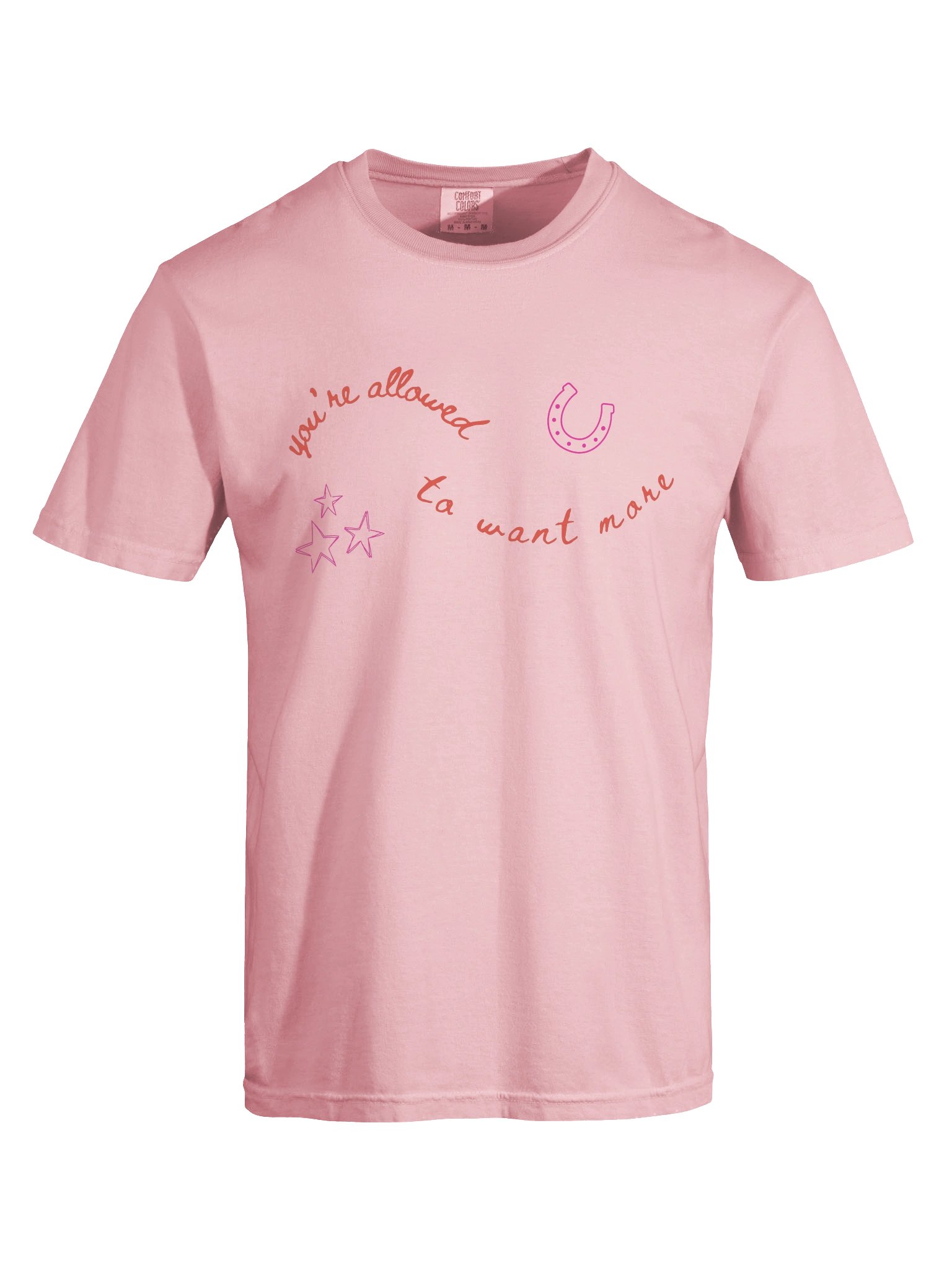 Neigh Neigh - Tee product image (7)