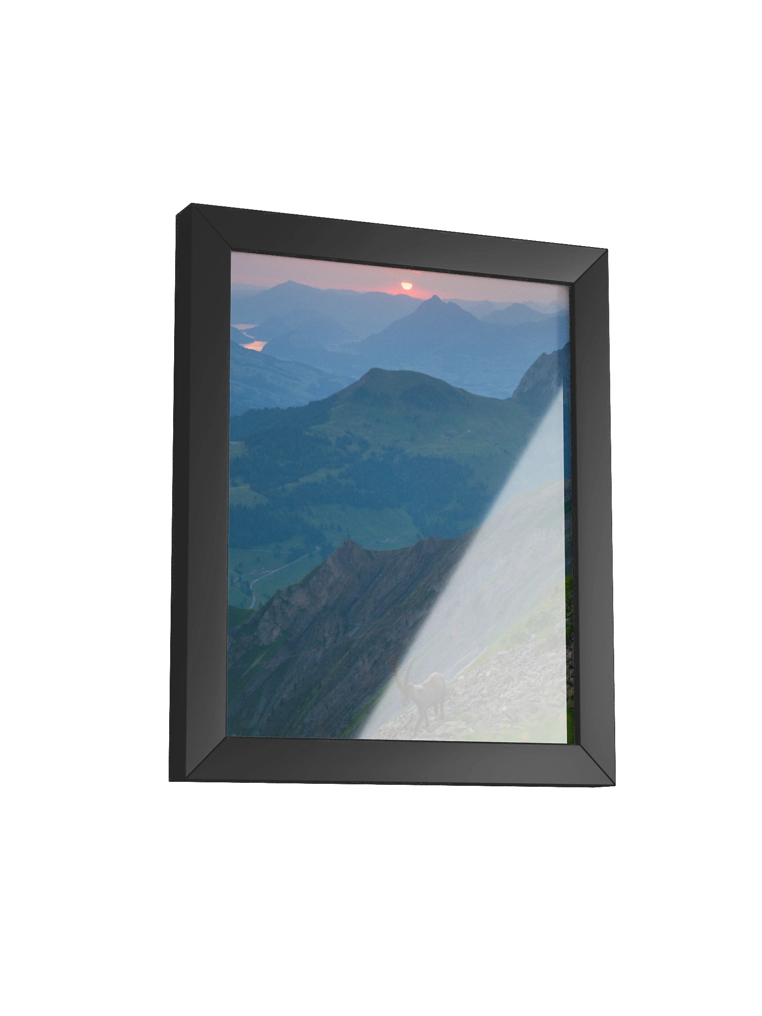 Steinbock auf dem Brienzer Rothorn product image (4)