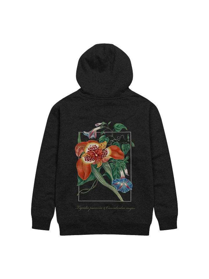 Mexican Tiger Flower and convolvulus - Adult Unisex Hoodie product image (1)