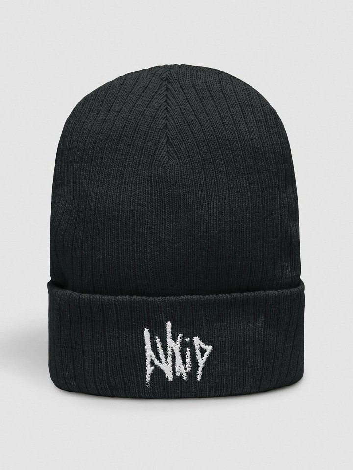 AVXiD Logo Beanie product image (1)
