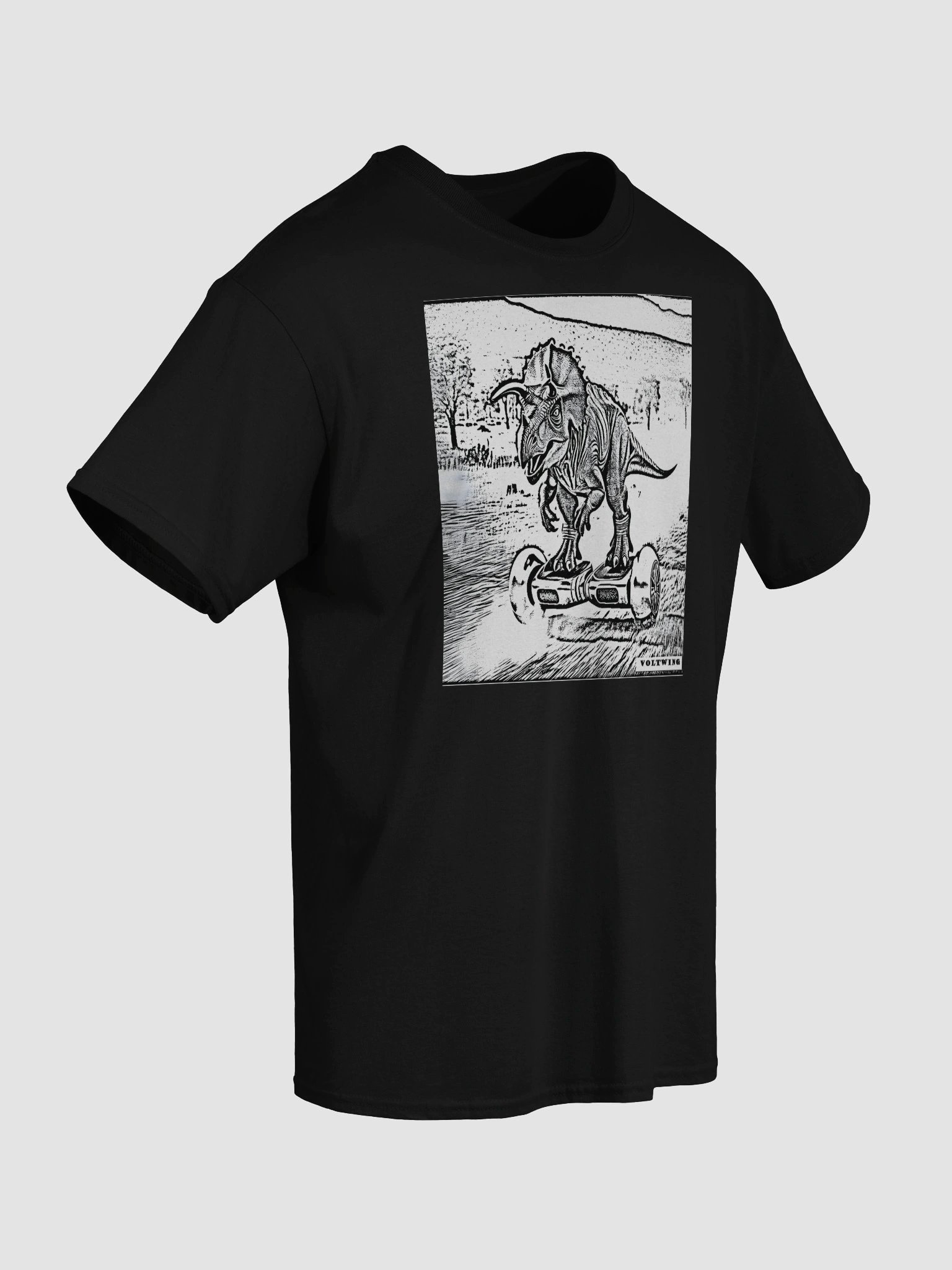 DRW-2 product image (37)