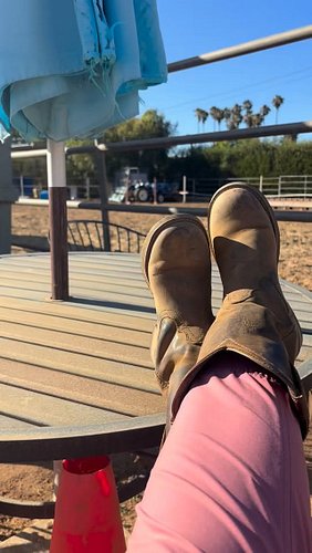 She tells me she’s all done in the turnout. #horse #horsespeak #horsegirl #horsecommunication